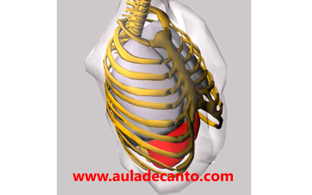 RESPIRACIÓN 2